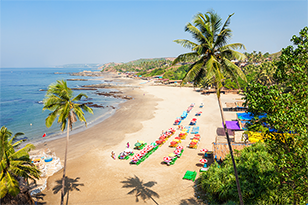 Things to Do in Goa Like a Local