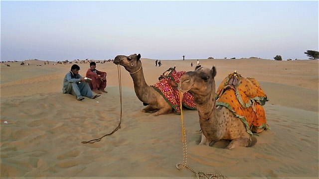 Top 10 places to visit in Jaisalmer